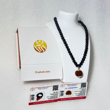 7 Mukhi Nepali Rudraksha & Karungali Mala