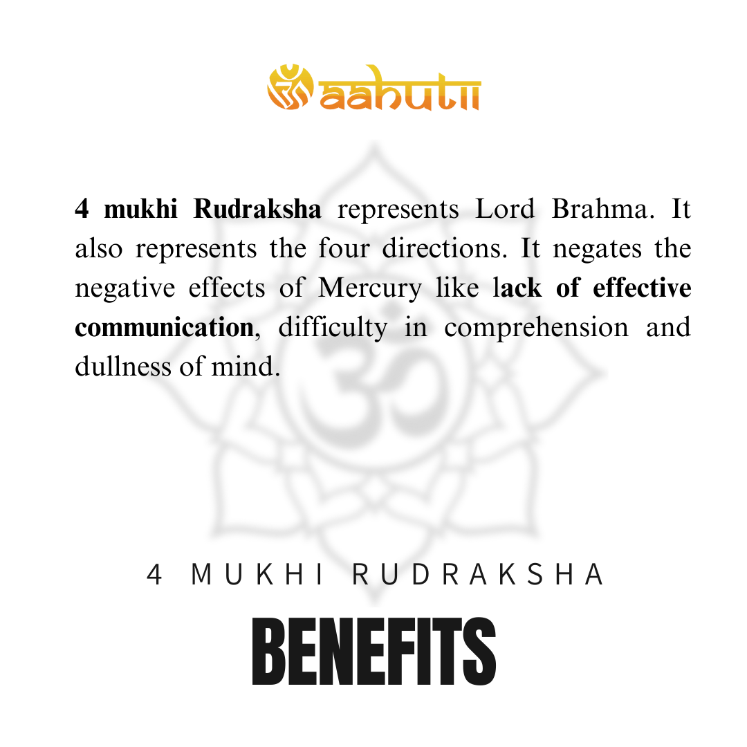 4 Mukhi Rudraksha