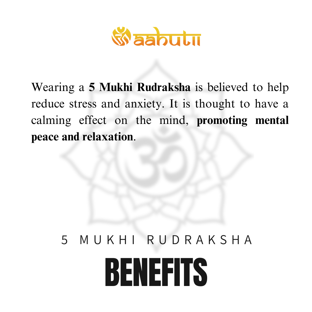 5 Mukhi Rudraksha