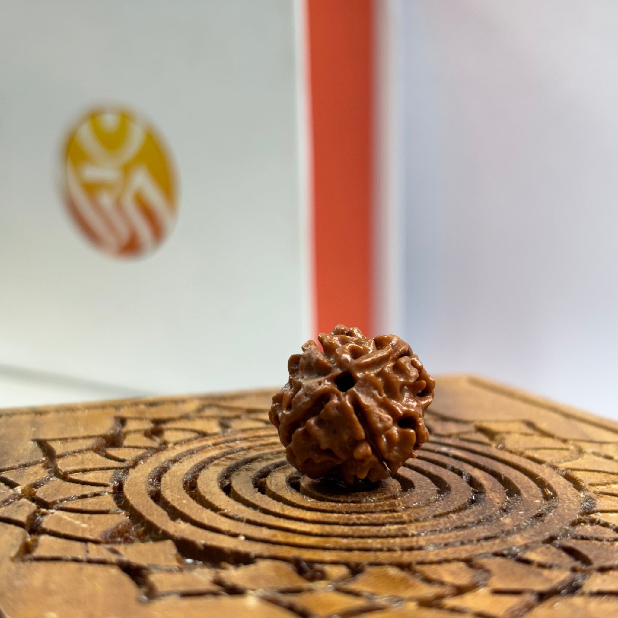 4 Mukhi Nepali Rudraksha