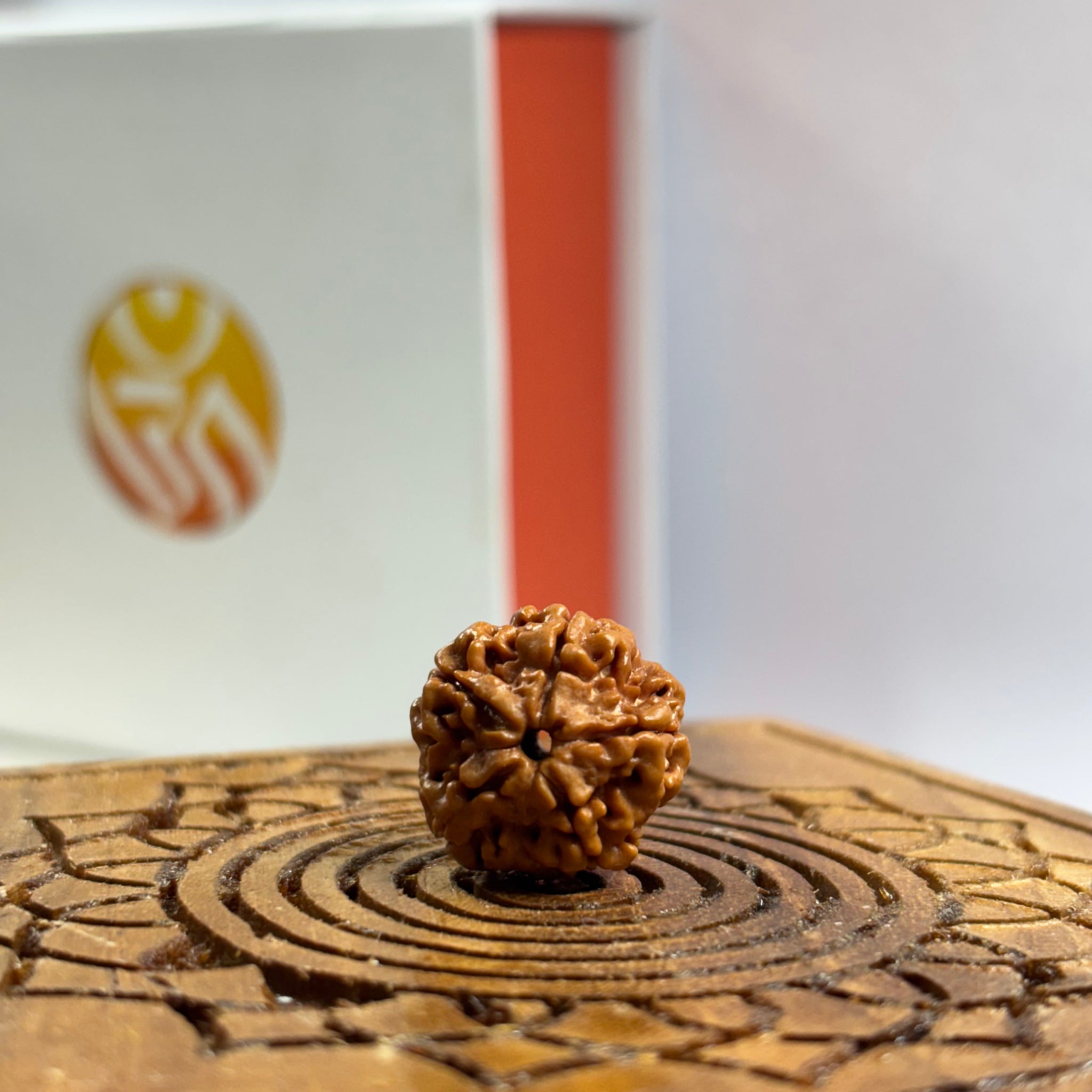 5 Mukhi Nepali Rudraksha
