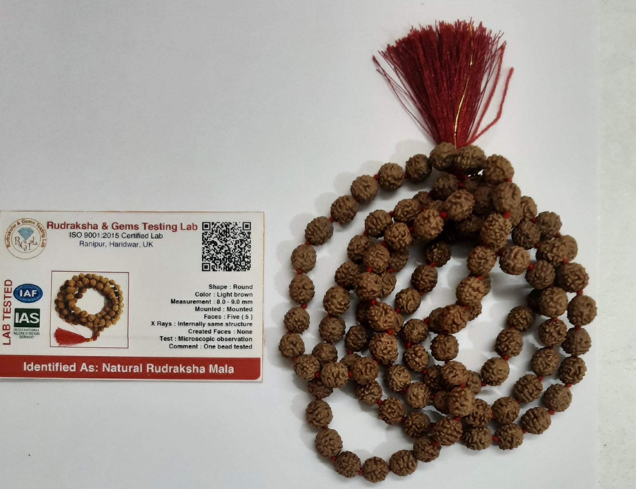 5 Mukhi RUDRAKSHA JAAP MALA