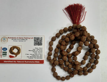 5 Mukhi RUDRAKSHA JAAP MALA