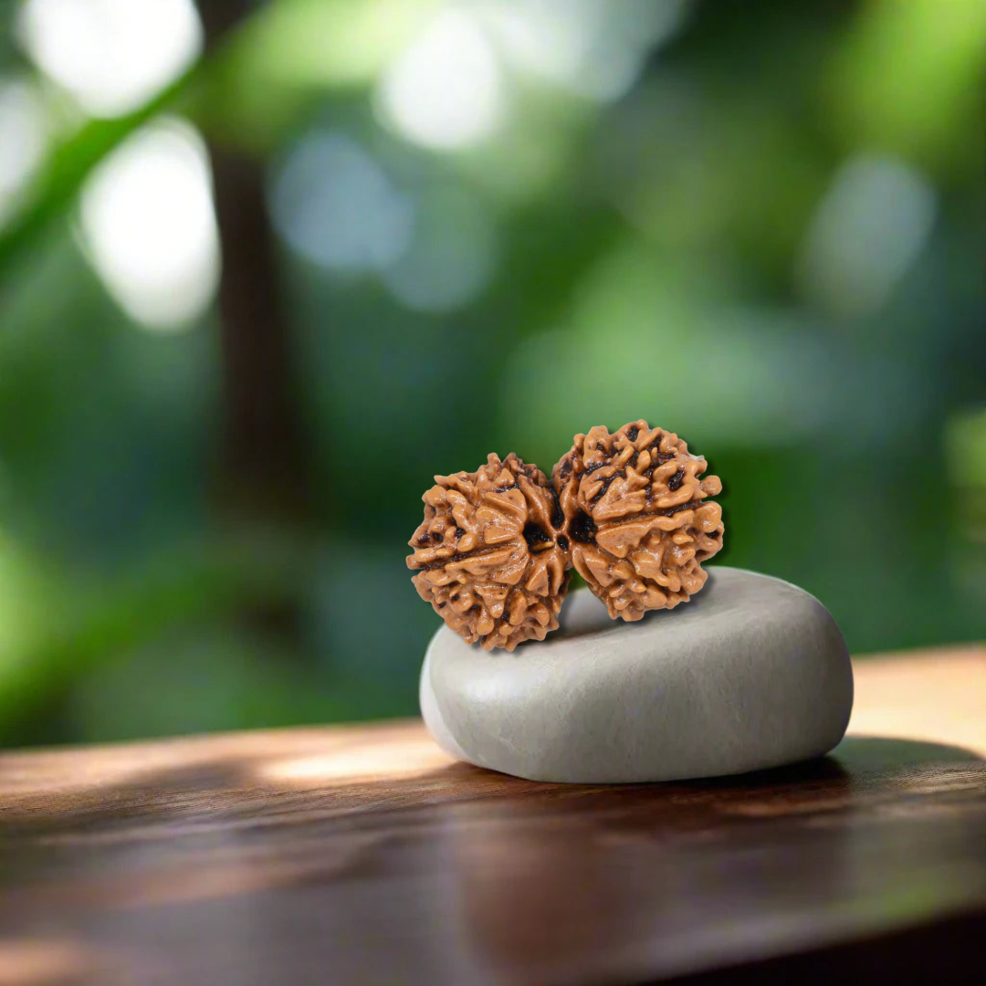 Gauri Shankar Nepali Rudraksha