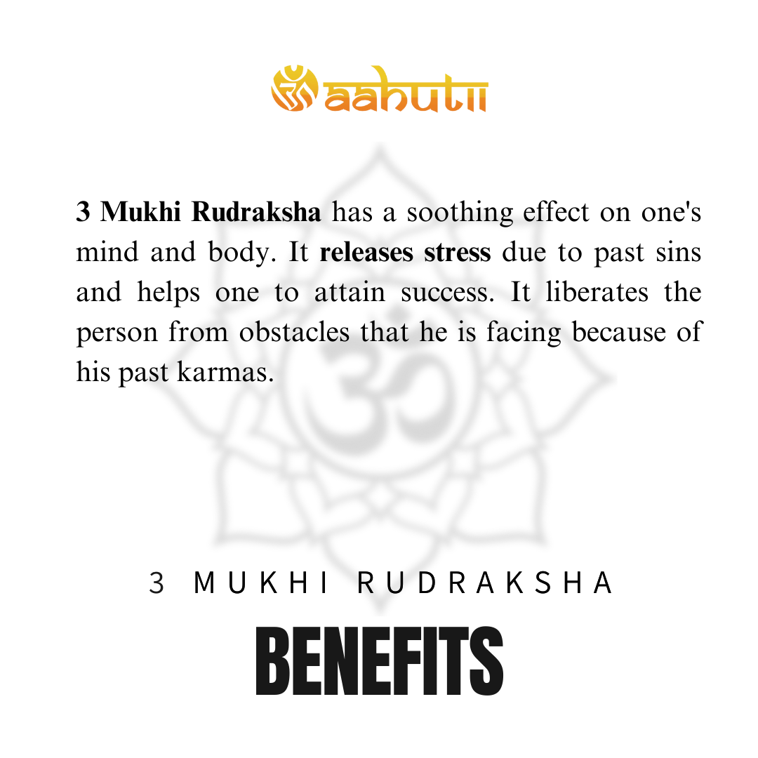 3 Mukhi Nepali Rudraksha