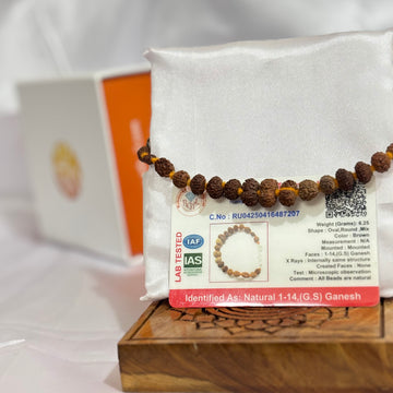 1-14 Mukhi Sidha Bracelet (Indo)