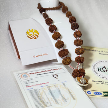 Nepali Sidha Mala with Rudraksha Beads