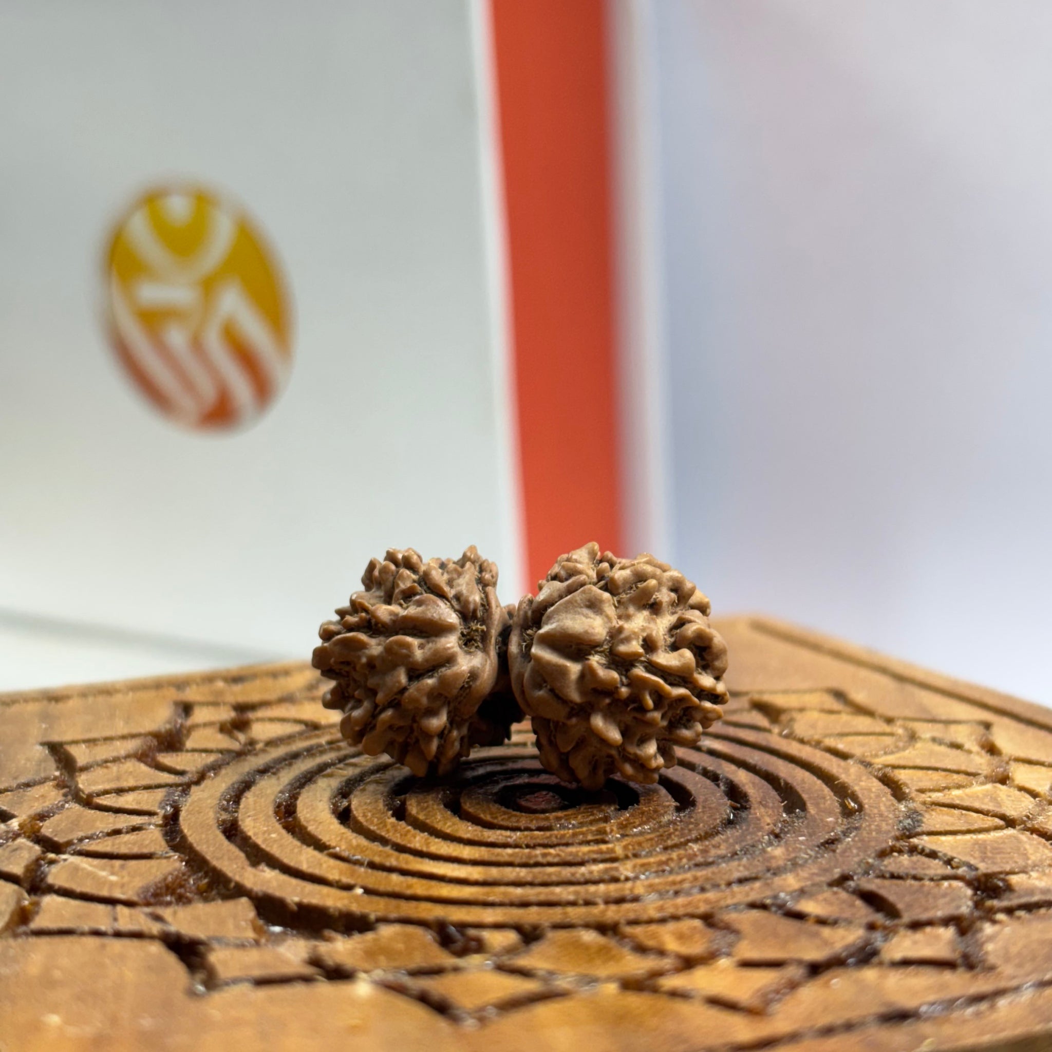 Gauri Shankar Nepali Rudraksha
