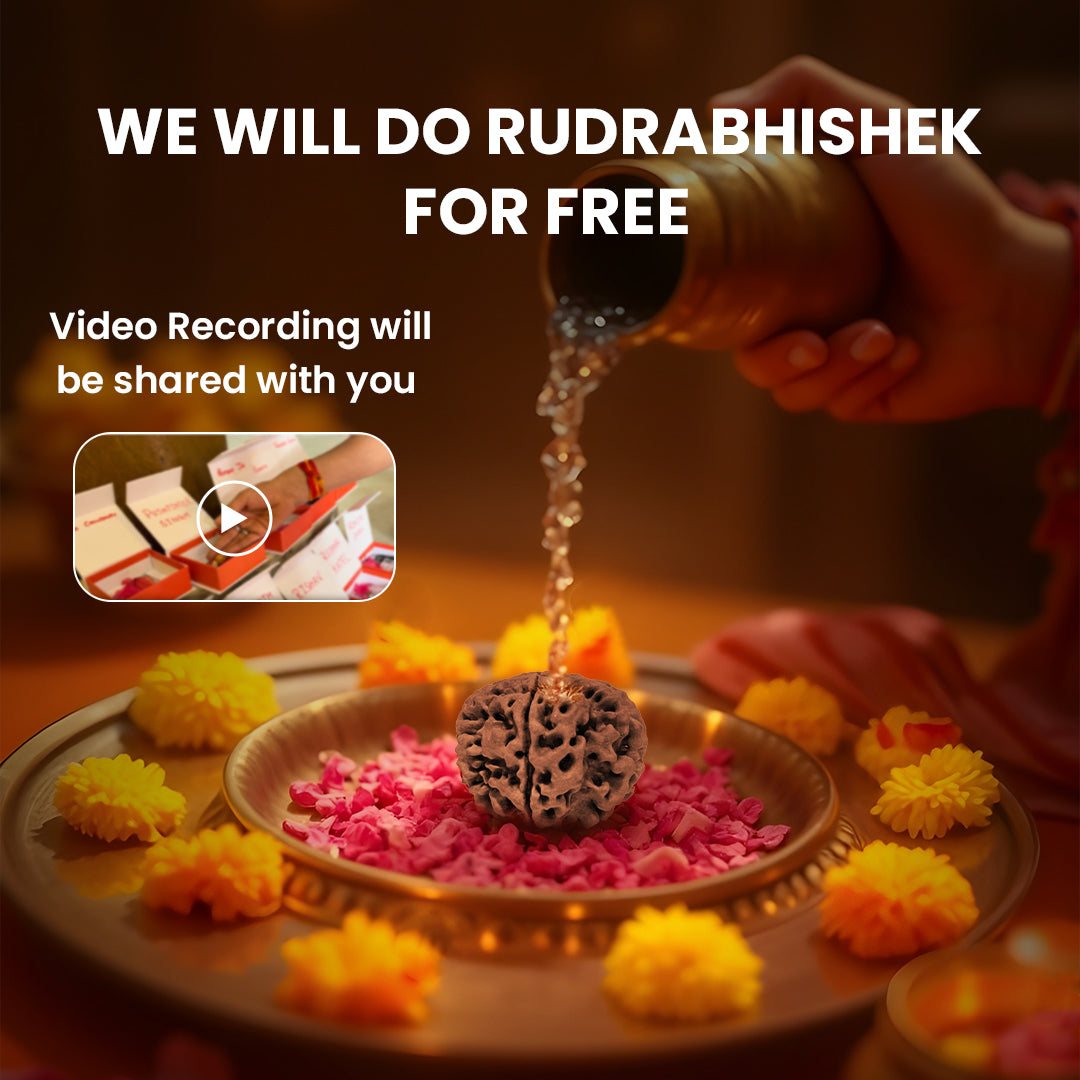 Rudrabhishek of 7 mukhi nepali rudraksha
